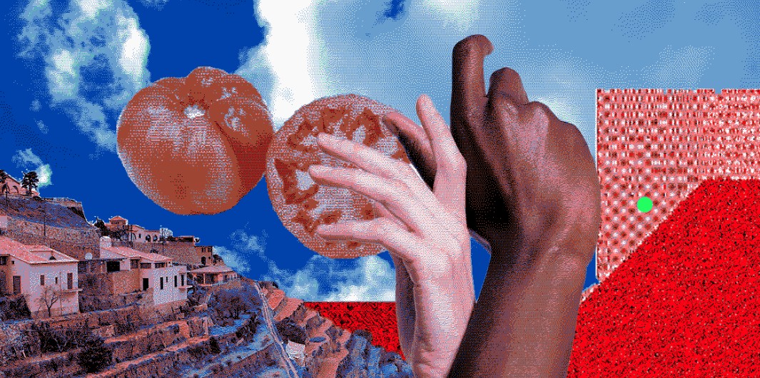Fundació Iniciatives del Mediterrani